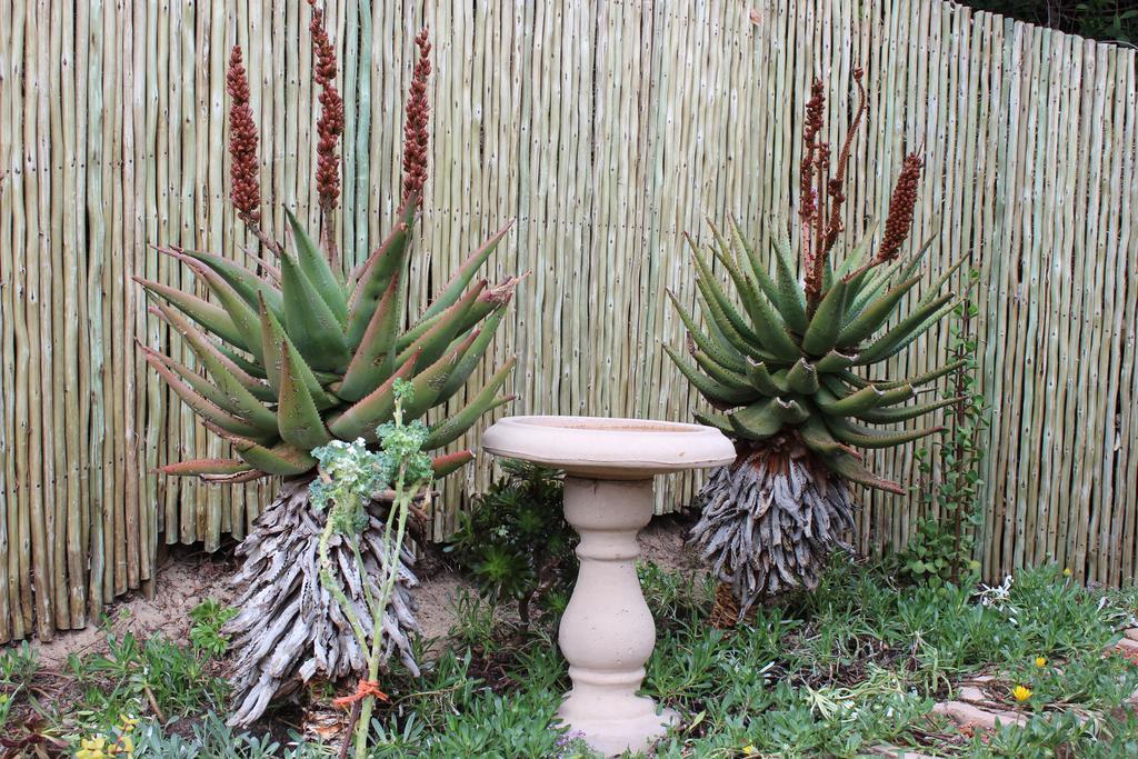 Da Rosa Guest House Wilderness Bagian luar foto